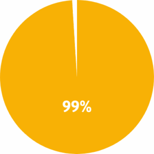 an orange pie chart displaying 99 percent