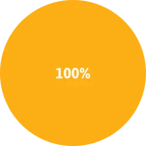 an orange pie chart displaying 100 percent