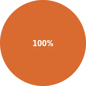 an orange pie chart displaying 100 percent