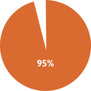 An orange pie chart displaying 95 percent.